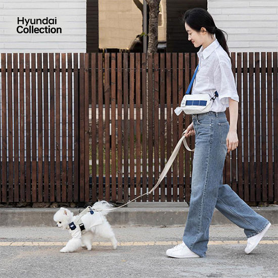 Hyundai Collection ペット用おさんぽバッグ-ヒュンダイ ジャパン オンラインショップ